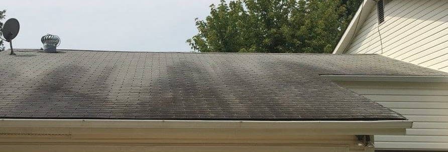 An asphalt shingle roof with dark vertical streaking, photographed from the ground